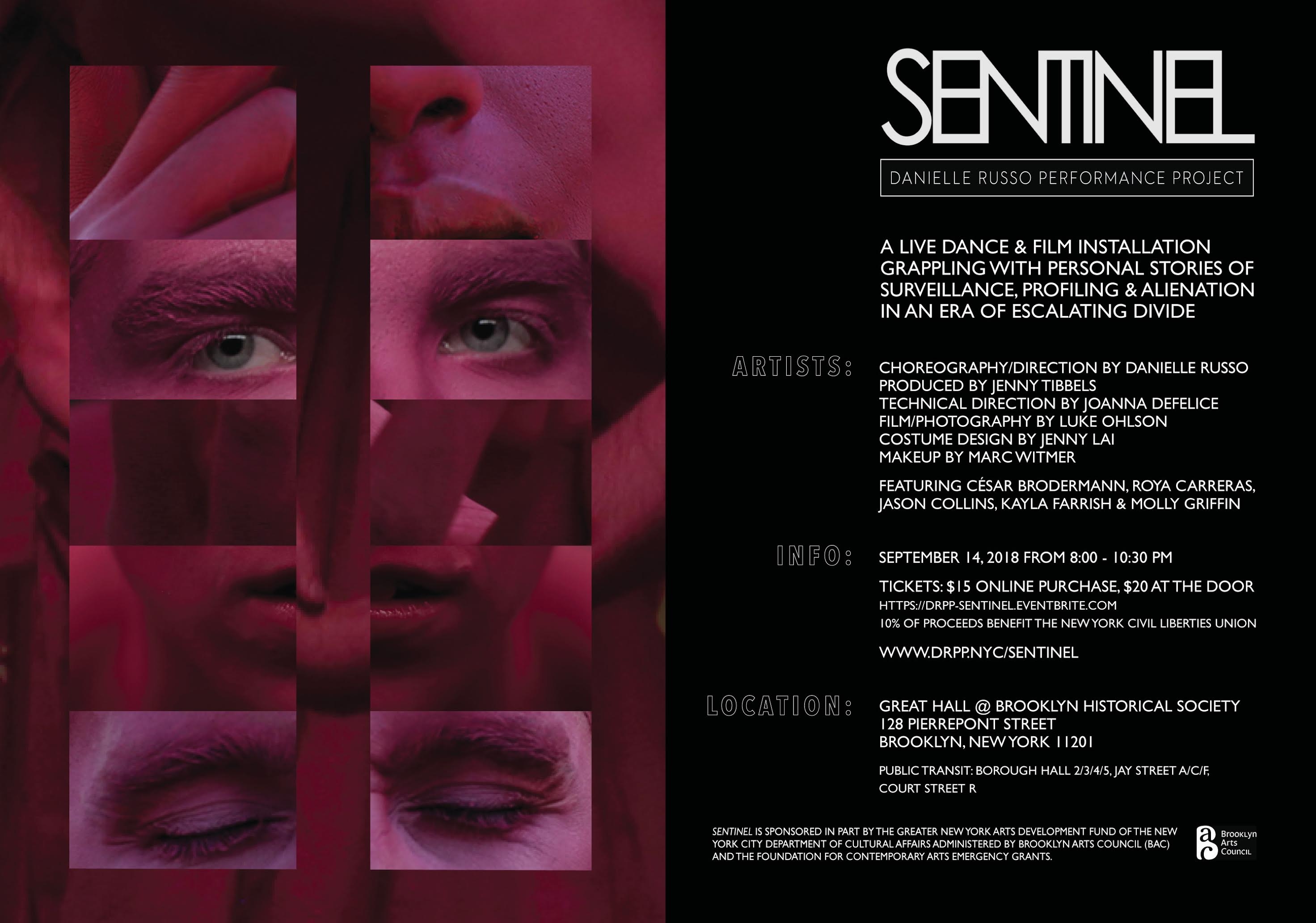 Promotional Image for "Sentinel"